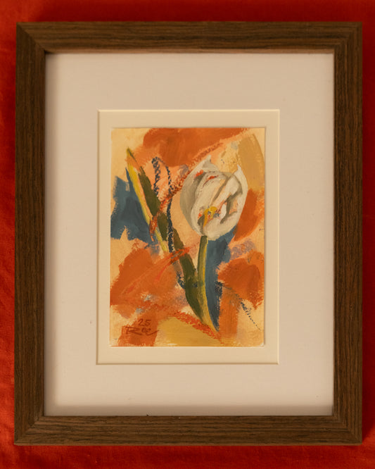White Tulip III, 2025